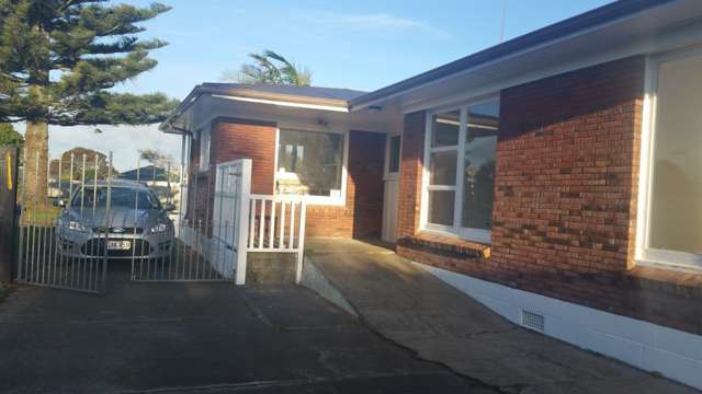 29 Evans Road Manurewa_1