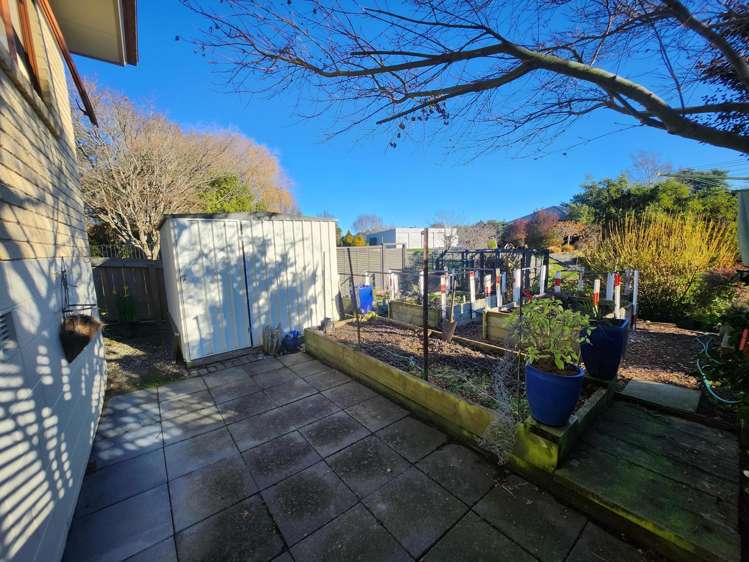 33 Essex Street Weston_20