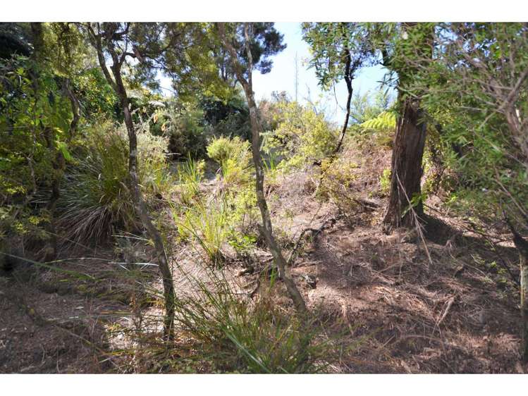 Opito Bay Road Kerikeri_13