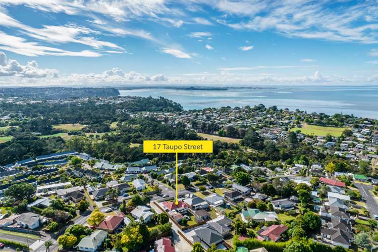 17 Taupo Street Green Bay_24