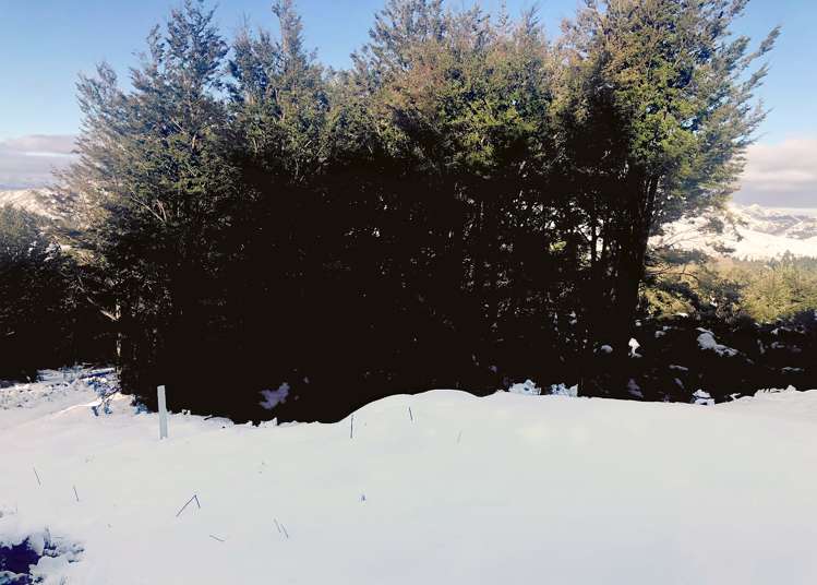 50 Terako Terrace Lyford_9