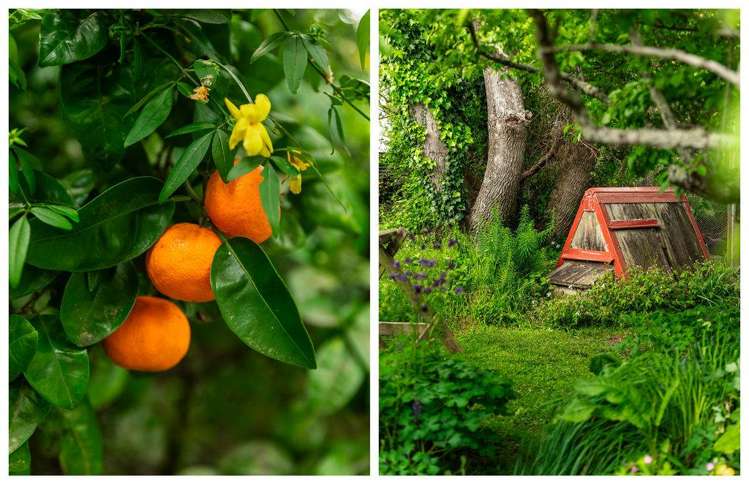 42 Galbraith Street Waihi_20