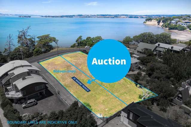 Auction 5 Feb Prime Coastal Section with Sea Views