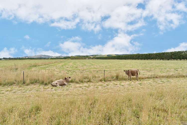 249 Stanton Road Amberley_16