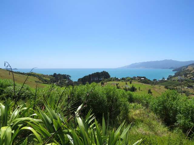 1594 Colville Road Coromandel_1