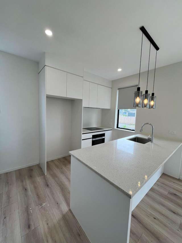 Pallant Street Manurewa_3