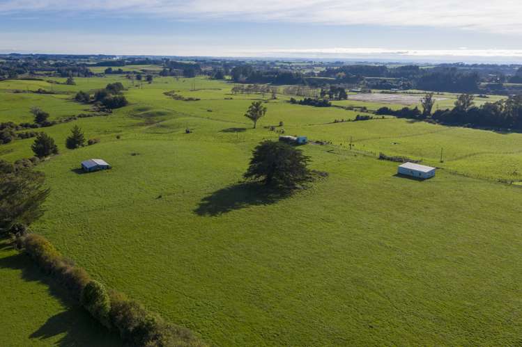 252 Wallace Road Koputaroa_22