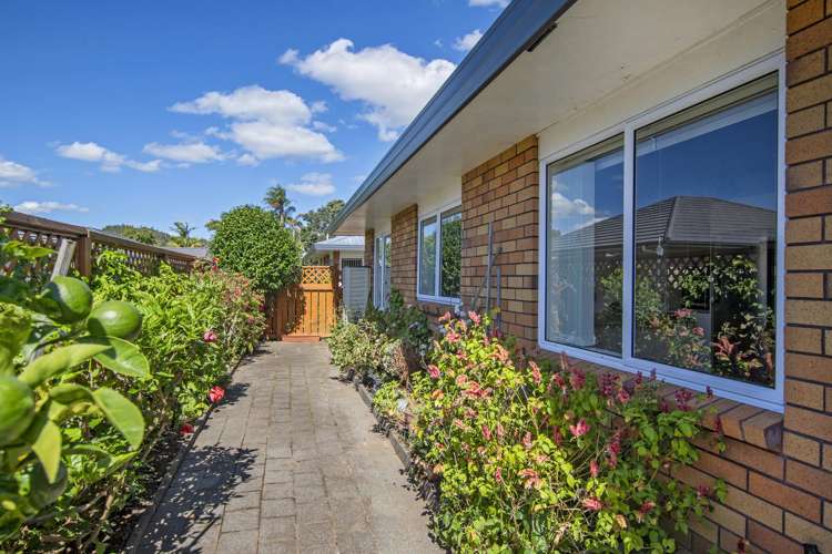 18A King Street Kensington_11