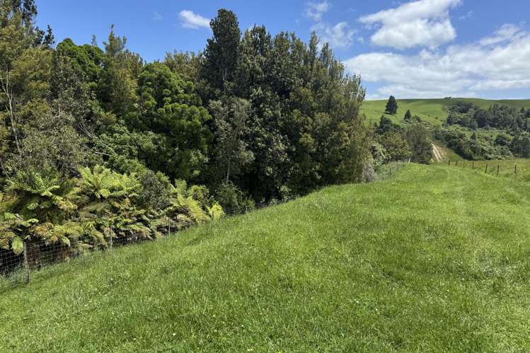 565 Barber Road Otewa_46