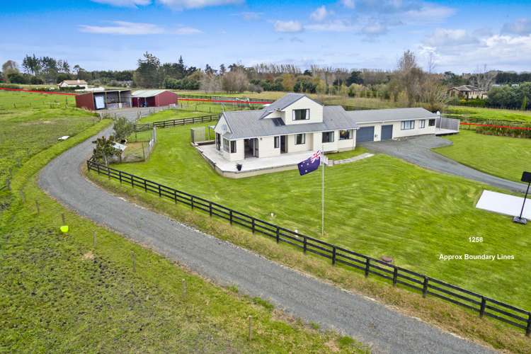 1258 Dairy Flat Highway Dairy Flat_3