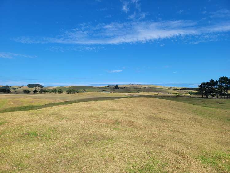 1008 Te Maire Road Te Kopuru_6