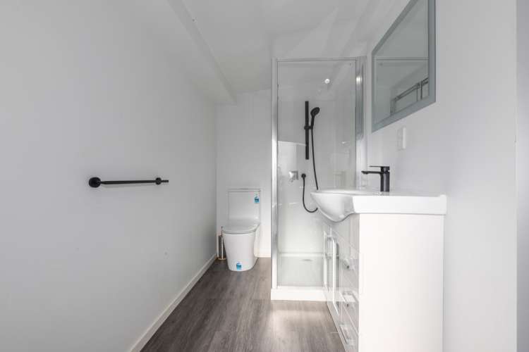 29B Sussex Street Levin_18