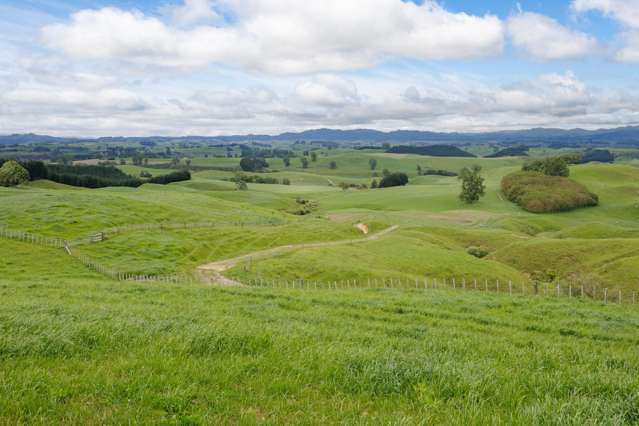 196 Waimanu Road Pukeatua_3