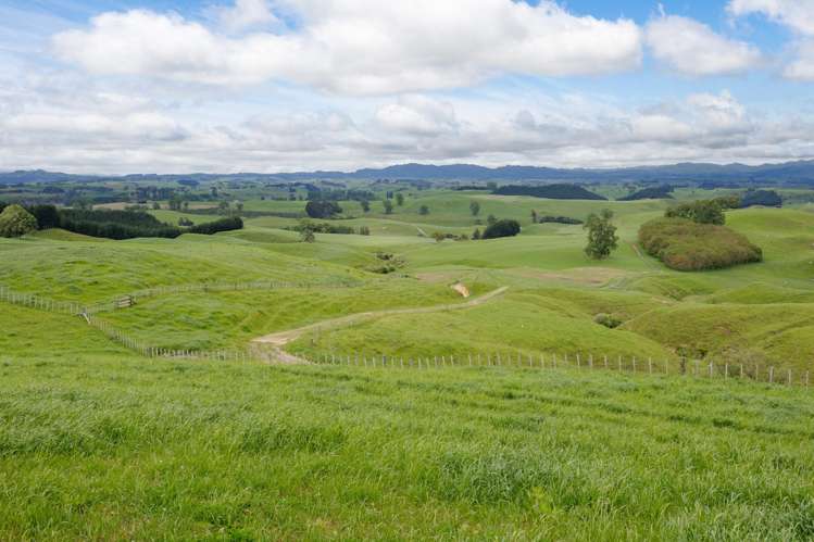 196 Waimanu Road Pukeatua_3