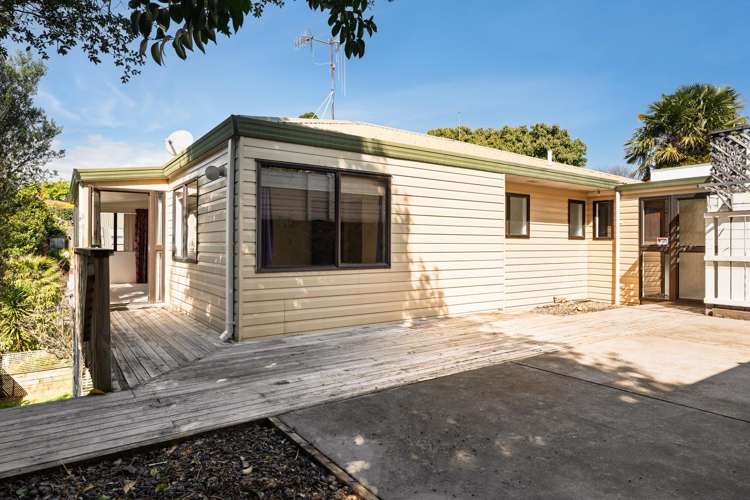 19 Ninth Avenue Tauranga_14