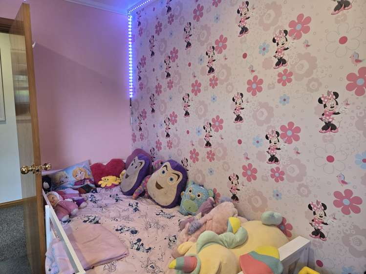 67 Wilson Road Balclutha_19