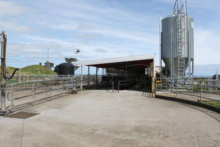 920 Ihaia Road Opunake_25