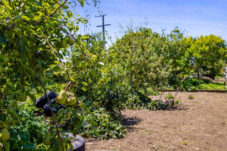 31 Waipapa Road Waitara_27