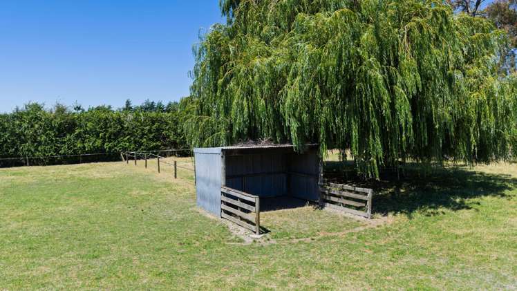 2D Ferry Road Spring Creek_32