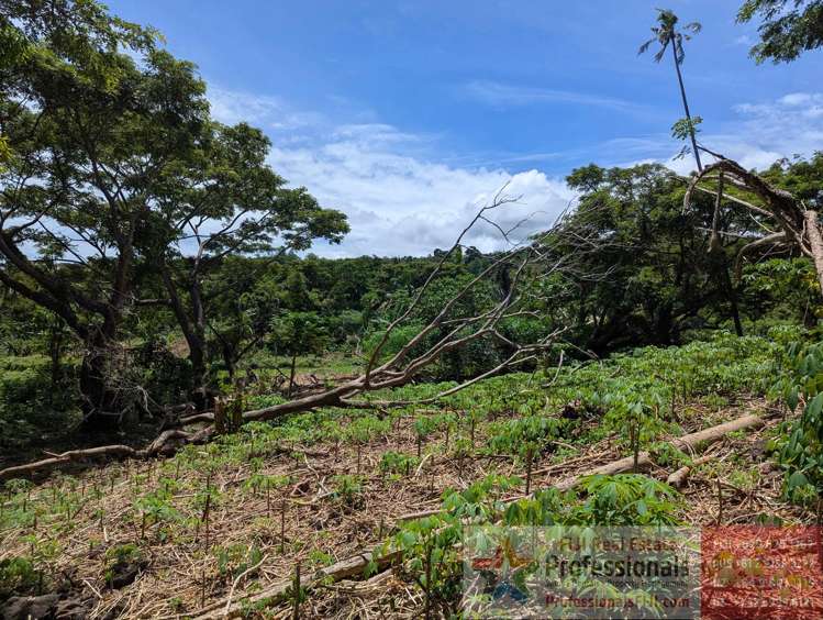 Address withheld Taveuni_16