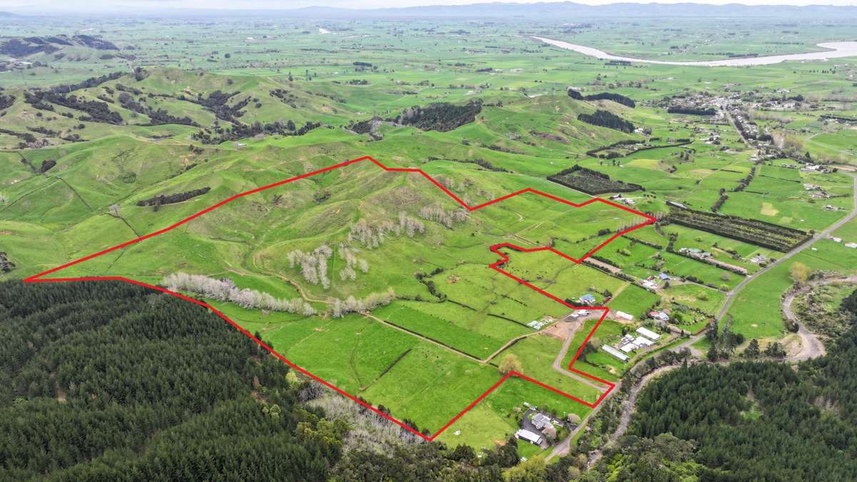 250 Puriri Valley Road_0