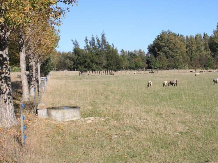 327 Bluff Rangitumau Road Rangitumau_20