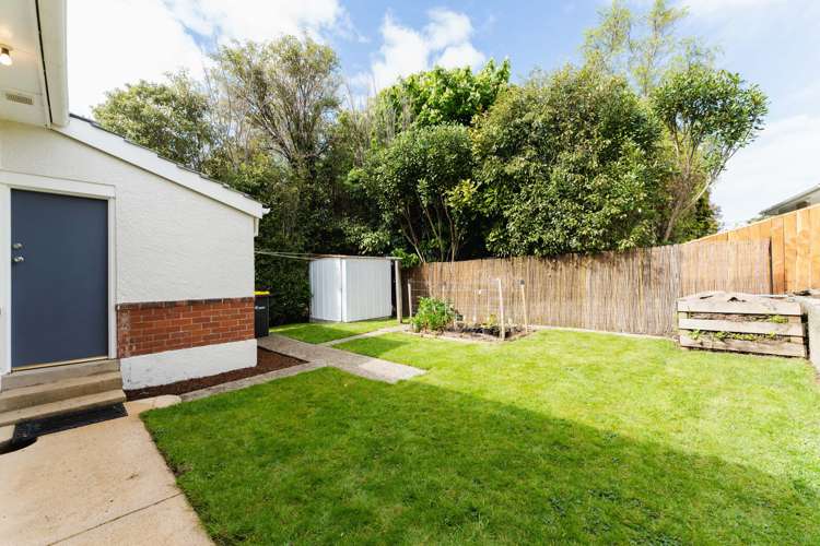 8 Kilgour Street Roslyn_19