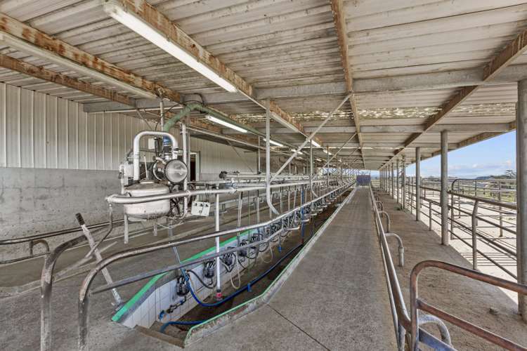 117 Meadway Road Ngahinapouri_13