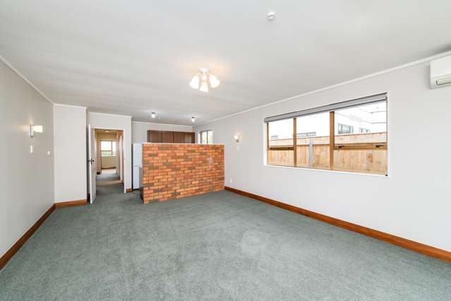 47a Haydon Street Roslyn_4