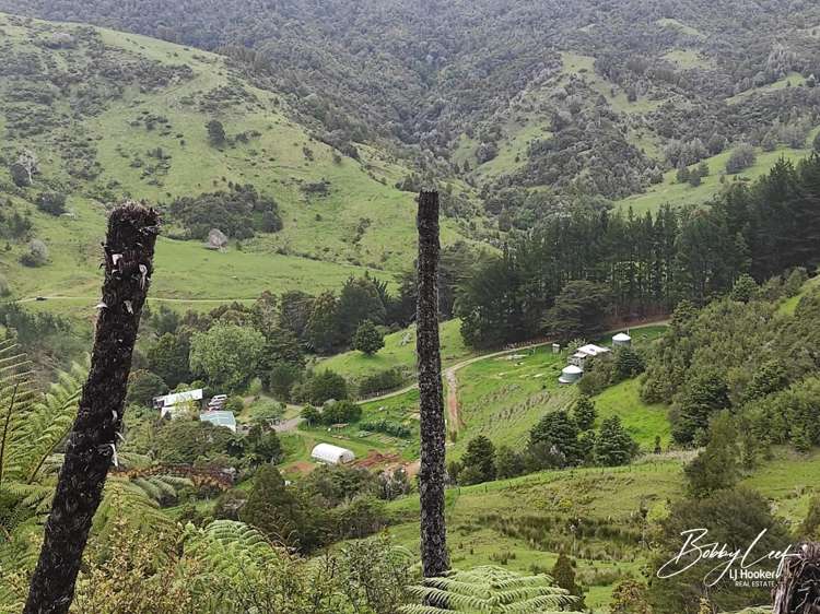 139 Warner Road Takahue_24