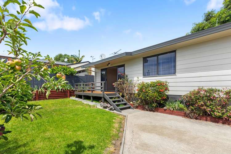 40A Princess Road Bellevue_3