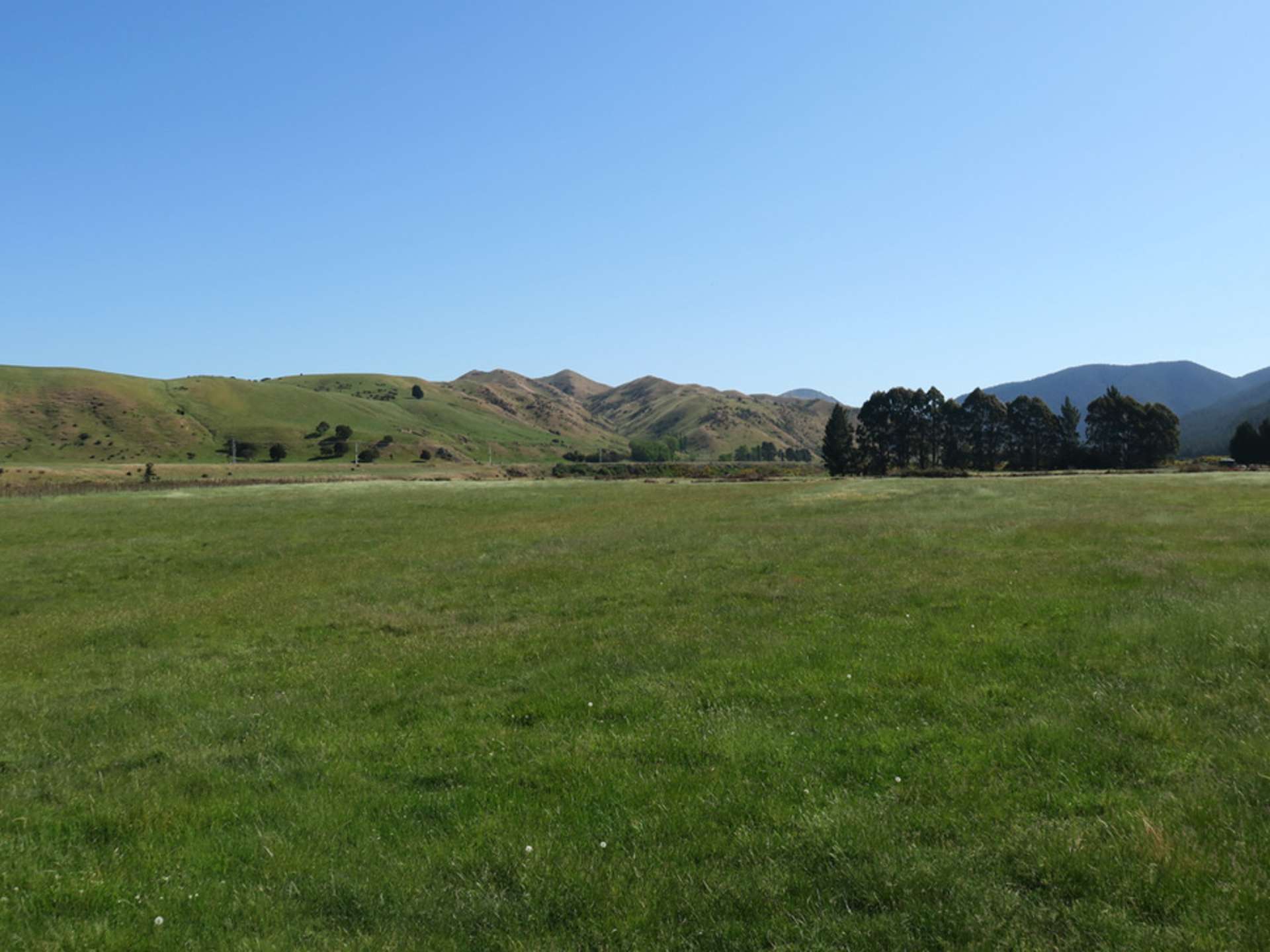 1735 Waihopai Valley Road Waihopai Valley_0