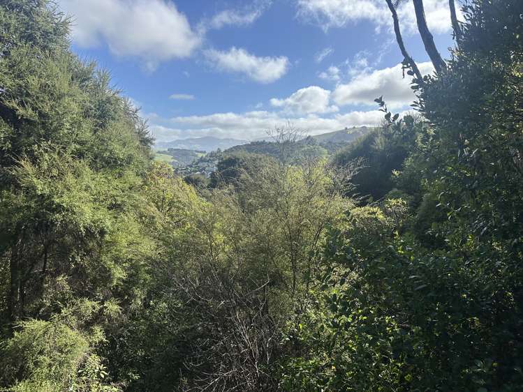 28 Rue Cachalot Akaroa_13