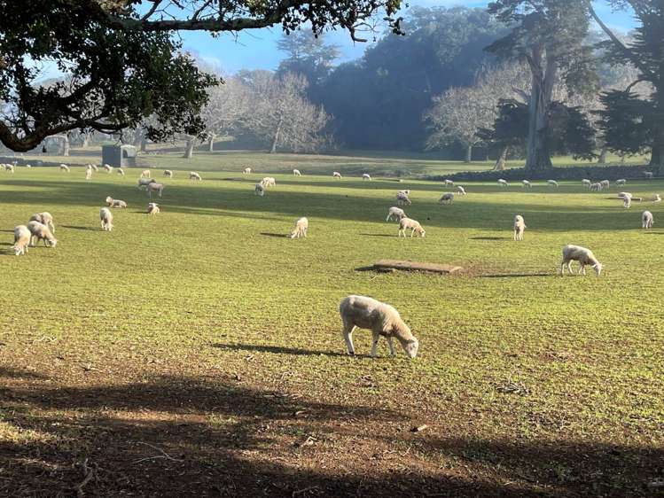 5/7 Goldsmith Road Epsom_21