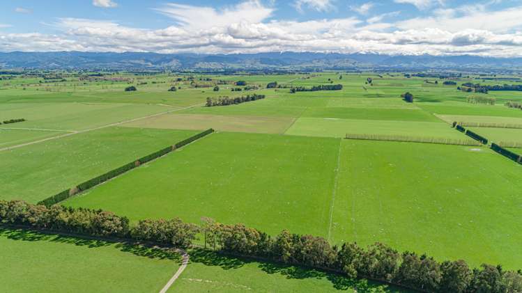 575 East Taratahi Road Carterton_5