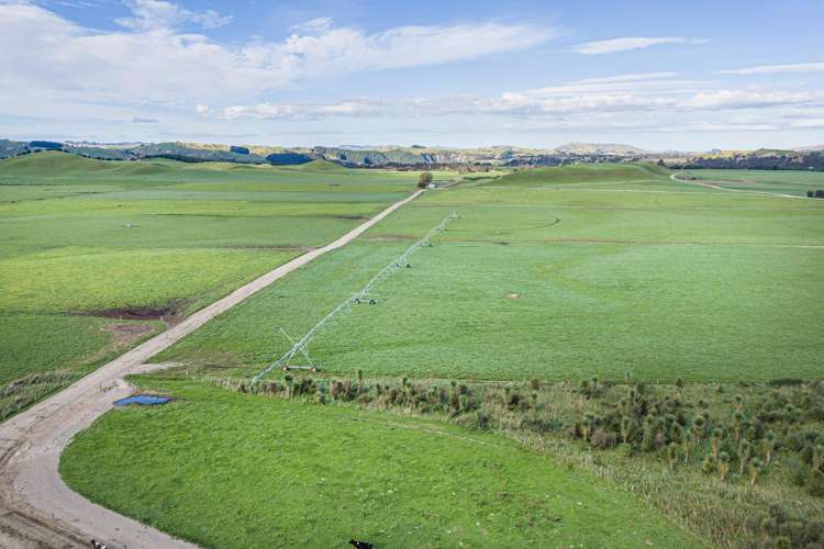 500 Willowford Road Waiwhare_0