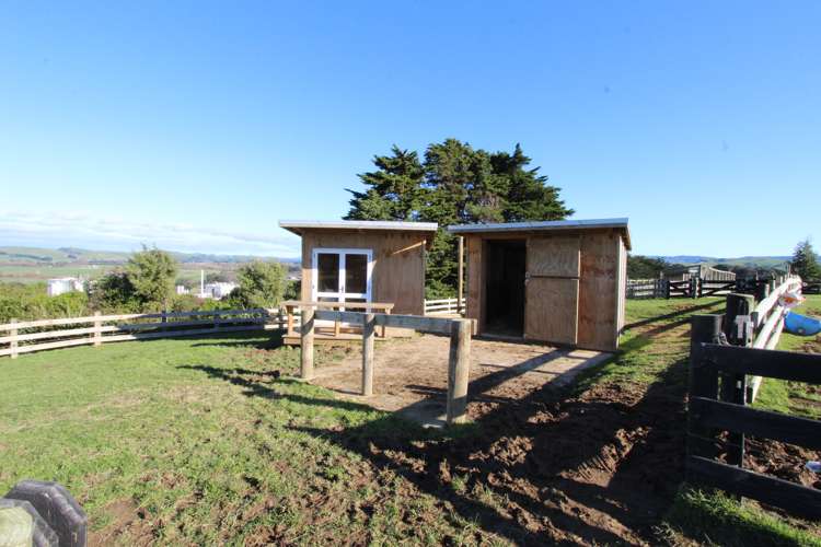 786 Ridge Road Pahiatua_4