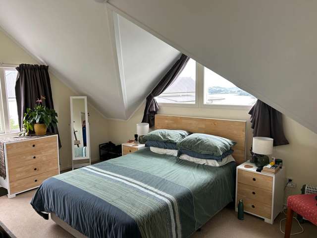 29A St Stephens Avenue Parnell_4