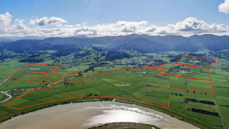 81 Station Road Puriri_22