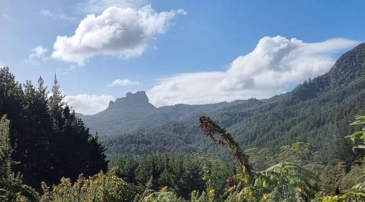 694 The 309 Road, Waiau Coromandel_19