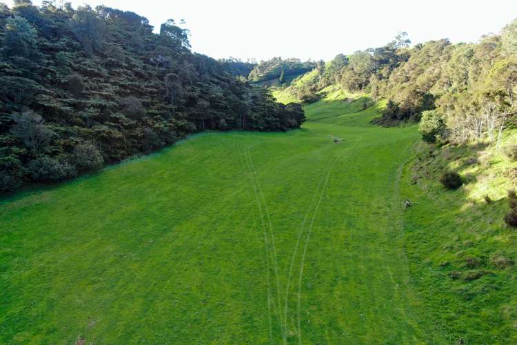 Maniatutu Road Pongakawa_28