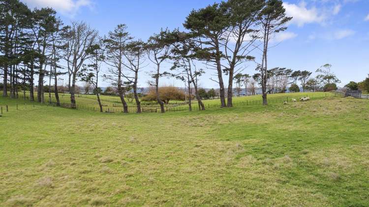 A/36 Goudie Road Helensville_36