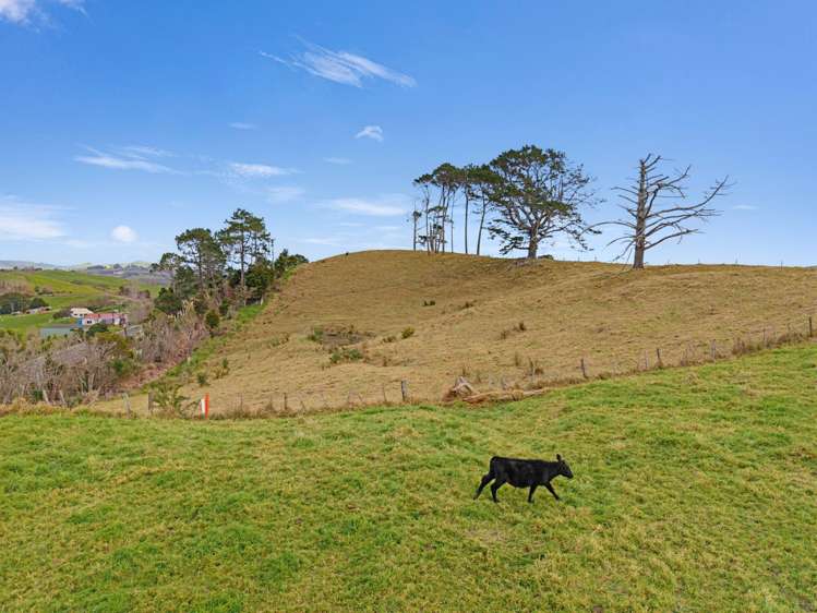 Wearmouth Road Paparoa_10