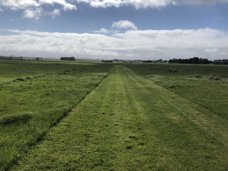 120 Soldiers Road Kuku_7