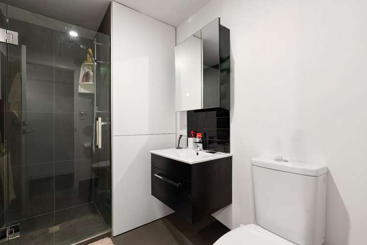 204/4 Elizabeth Street Mount Victoria_5