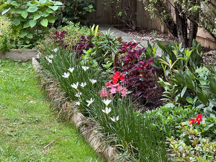 6 Bowmore Close Flat Bush_16