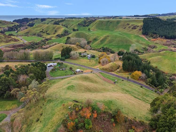 272 Pikowai Road Pikowai_16