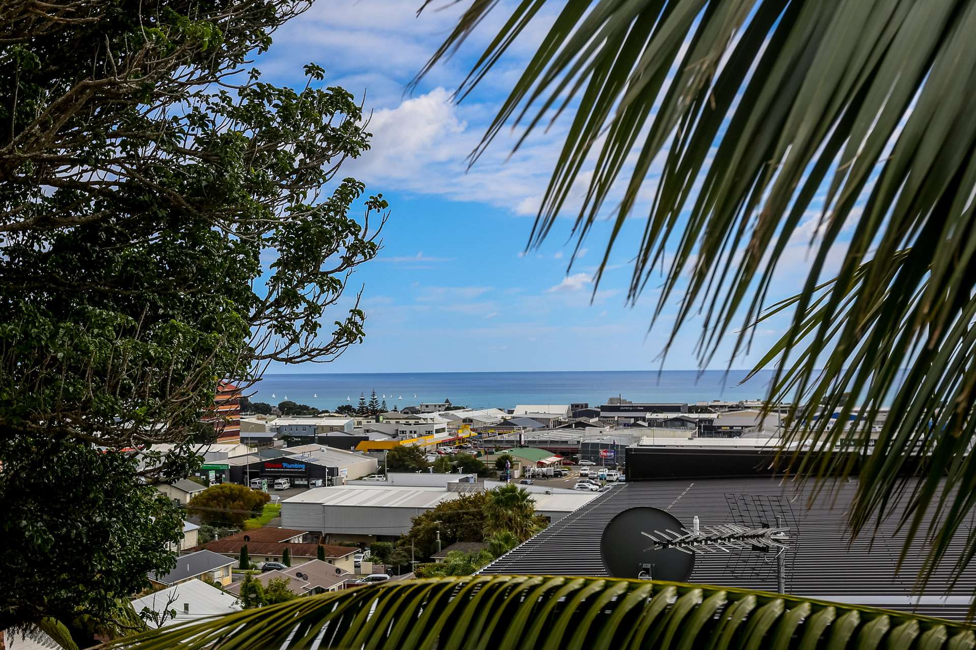 Niger Terrace New Plymouth City Surrounds_0