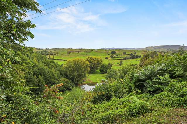 30 Mairoa Road Piopio_4