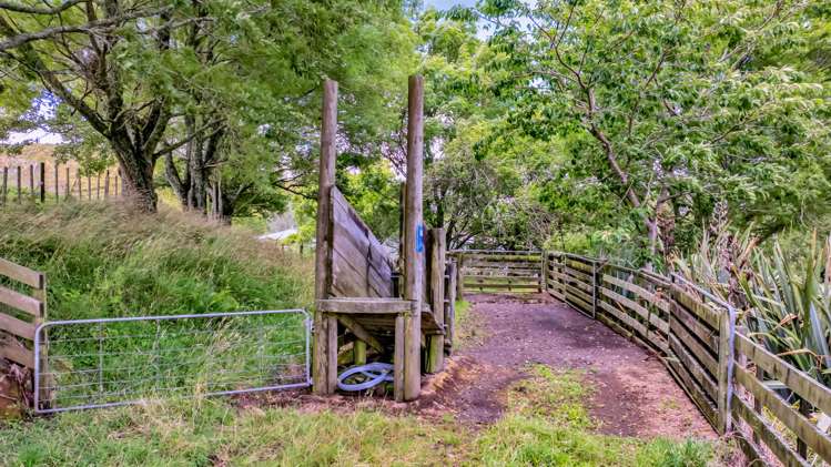 162 Standish Road Toko_25